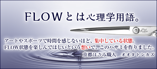 FLOWとは心理学用語。アートやスポーツで時間を感じないほど、集中している状態。FLOW状態を楽しんでほしいという想いで、このハサミを作りました。