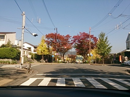 〇ハサミの長さで選ぶ・・・