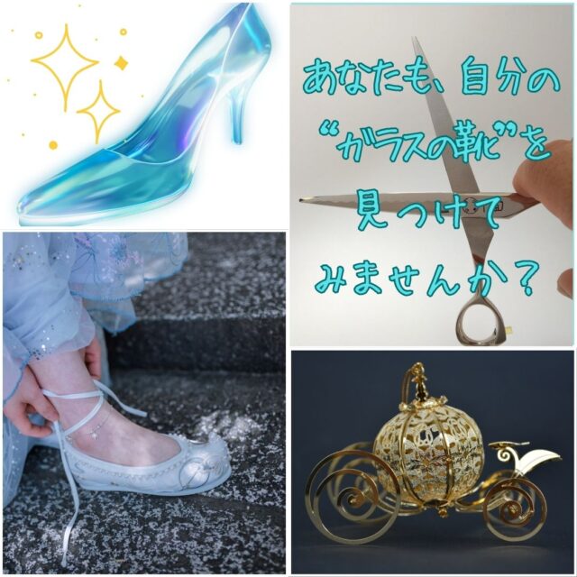 一色：トリマー向け
