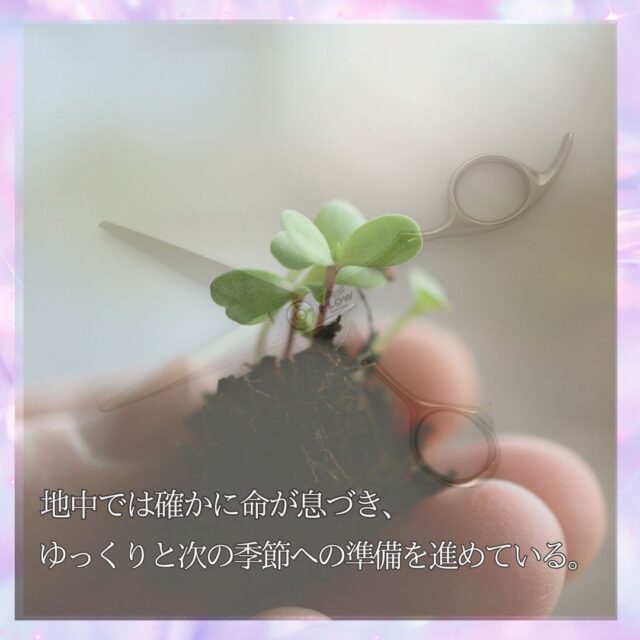 KAN-625：理容師。ひとりの文豪はこもり、筆を走らせる･･･