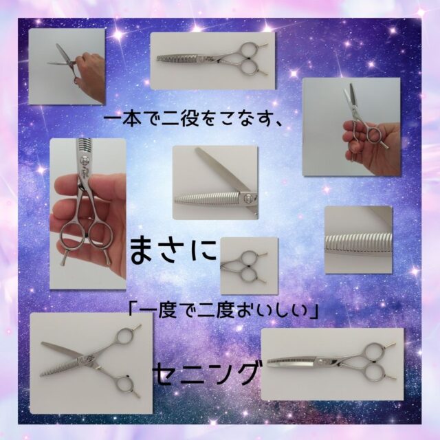 SAN-30V3-M：理容師向け  使いやすいカット率正逆刃