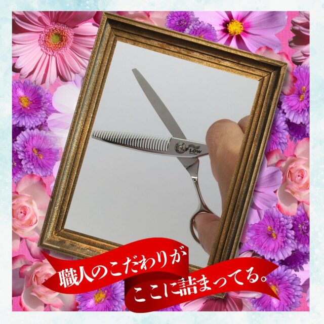 SAN-30V2-3D：美容師向け