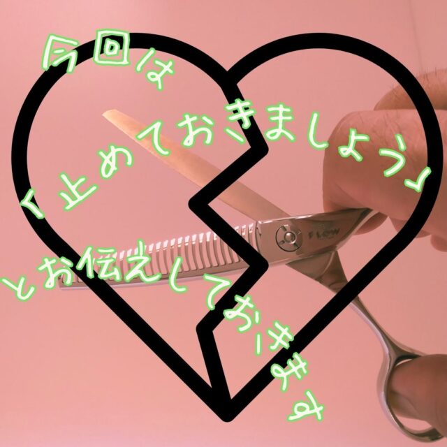 SAN-27V2-3D：トリマー向け