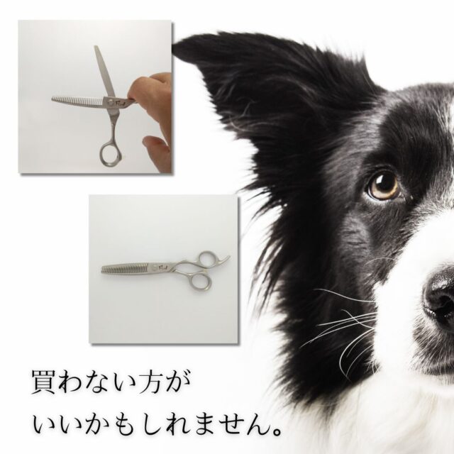 鉄 27V2：トリマー向け