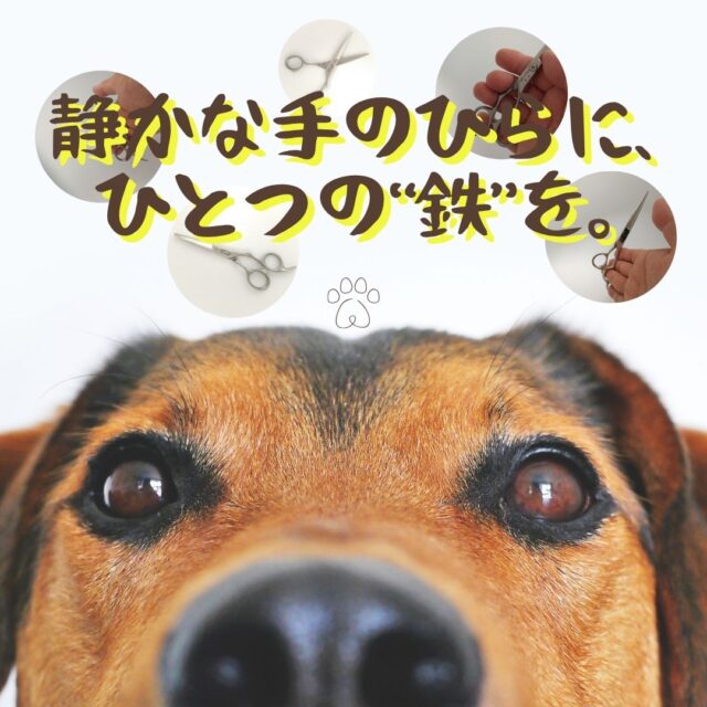 鉄　小ぶり：トリマー向け