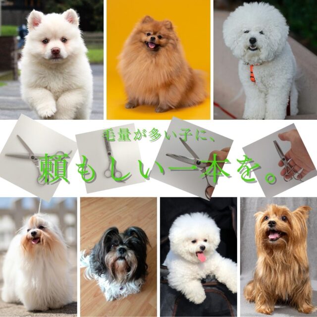 SAN-30V3-O：トリマー向け